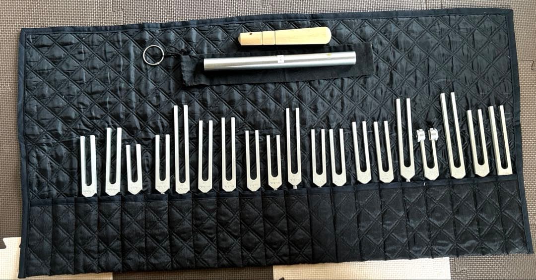 音叉ハーモニーベルRFS正規品 (アクシスセット)