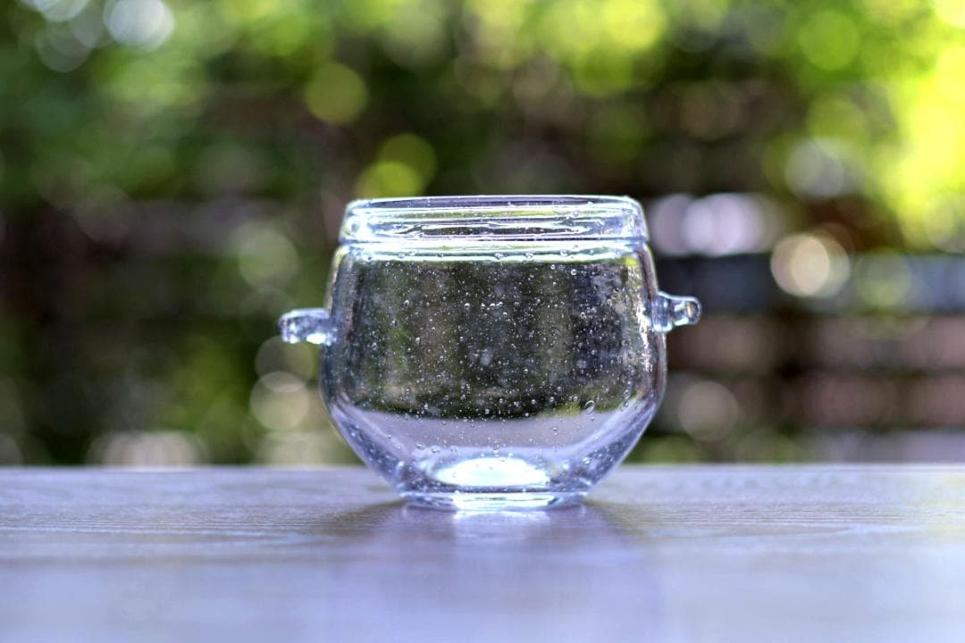 Erik Hoglund エリックホグラン ガラスボウル 85718