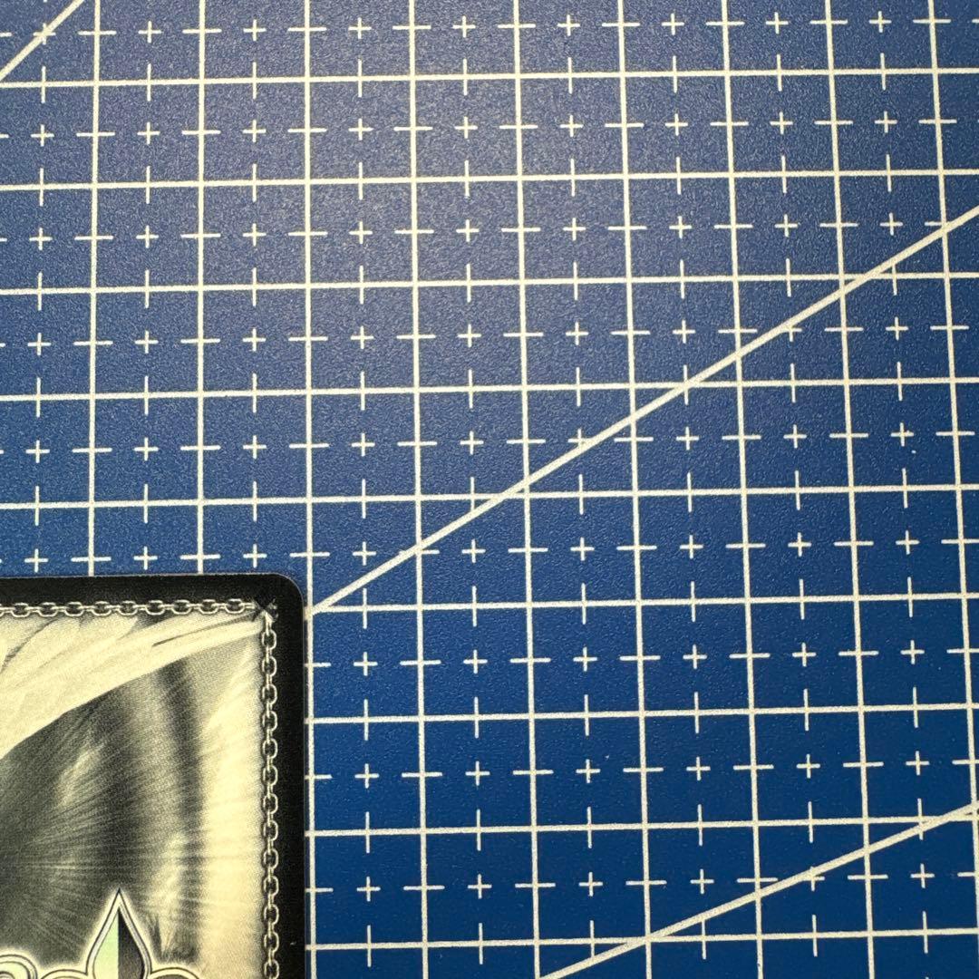 ヴァイス　居てもいい居場所　ふゆほたる　SP　370