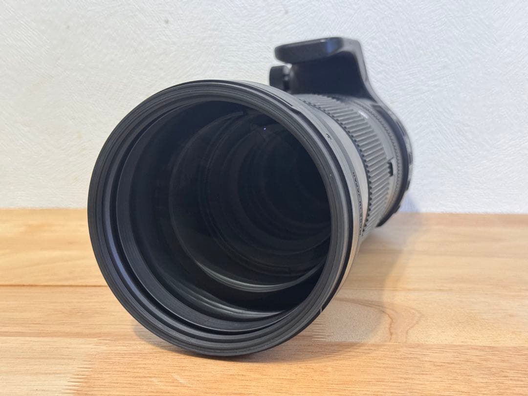 シグマ150-600mm F5-6.3 CONTEMPORARY Nikon