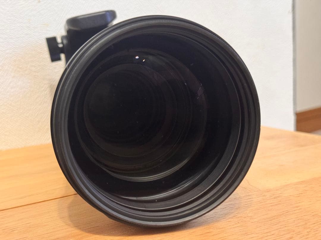 シグマ150-600mm F5-6.3 CONTEMPORARY Nikon