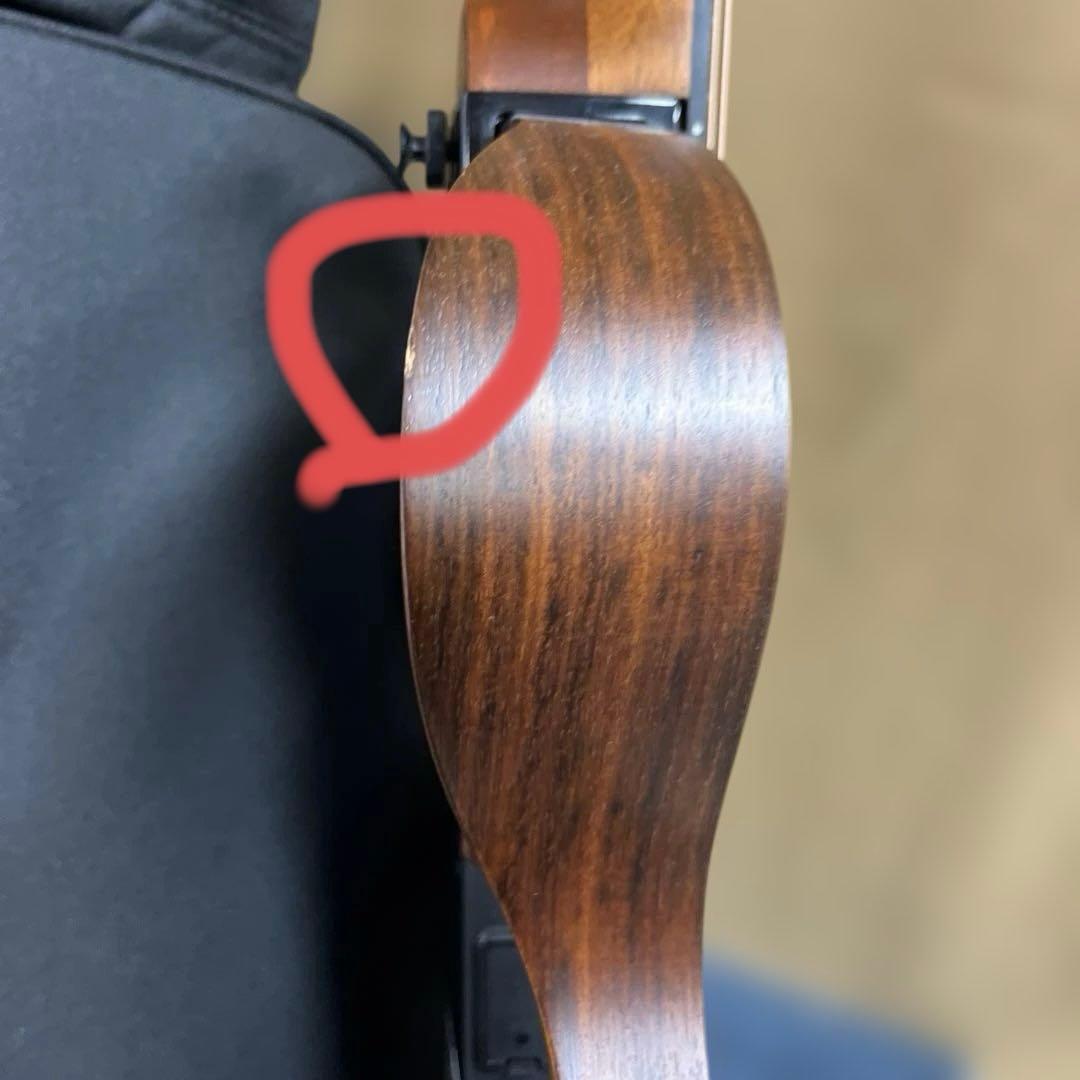 Yamaha サイレントギター SLG200S