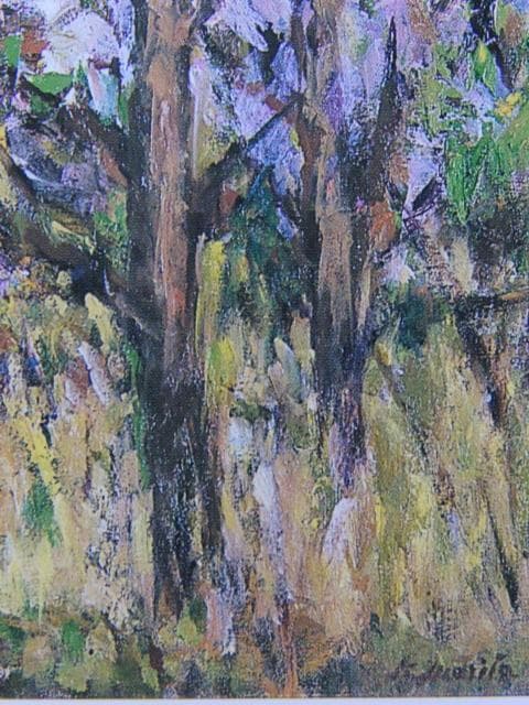 森田賢、【桜咲く】、希少な額装用画集より、状態良好、新品額装付