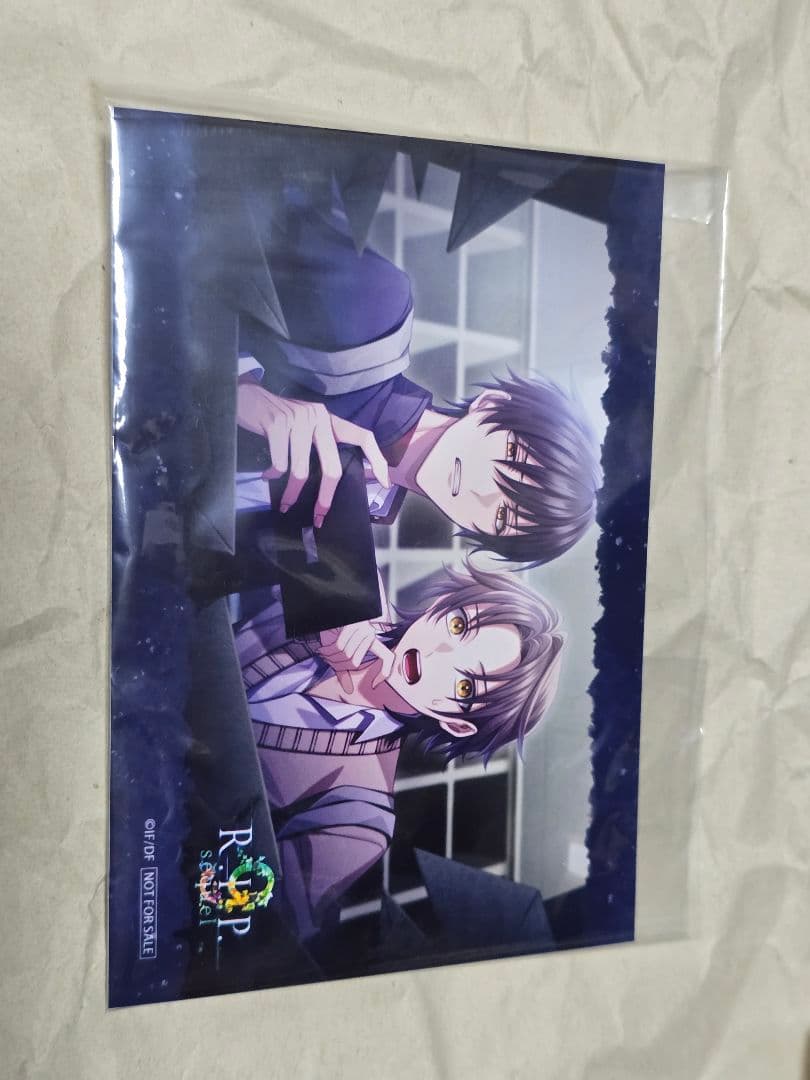 ✦ 9 r.i.p sequel アニ限 特典 小冊子 クリカ アクスタ FD