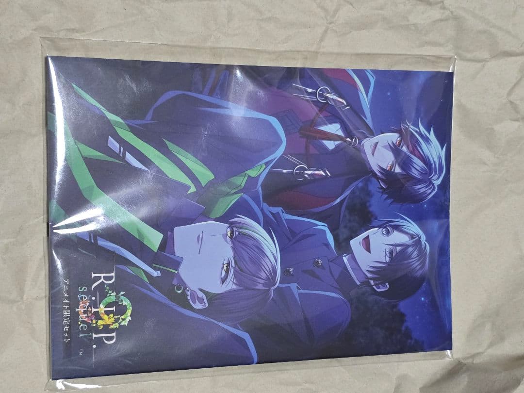 ✦ 9 r.i.p sequel アニ限 特典 小冊子 クリカ アクスタ FD