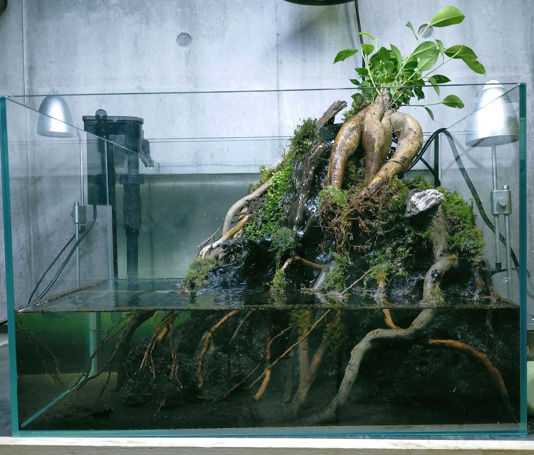 滝と霧の流れるアクアテラリウム　UJ