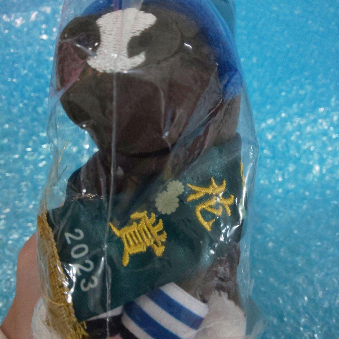 アイドルホース selection 第84回 菊花賞 ドゥレッツァ