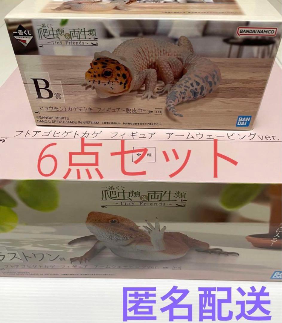 一番くじ　爬虫類＆両生類　フィギュア