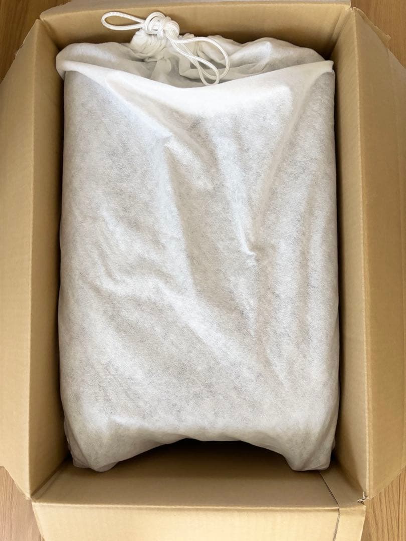 【美品＆匿名配送】エース　キャリーケース　カバー袋、説明書付き　機内持ち込み