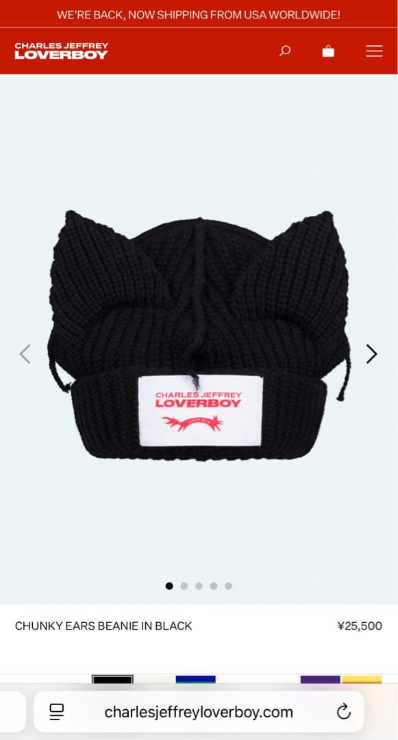 【最終値下げ⚠️】CHARLES JEFFREY LOVERBOY 猫耳ニット帽