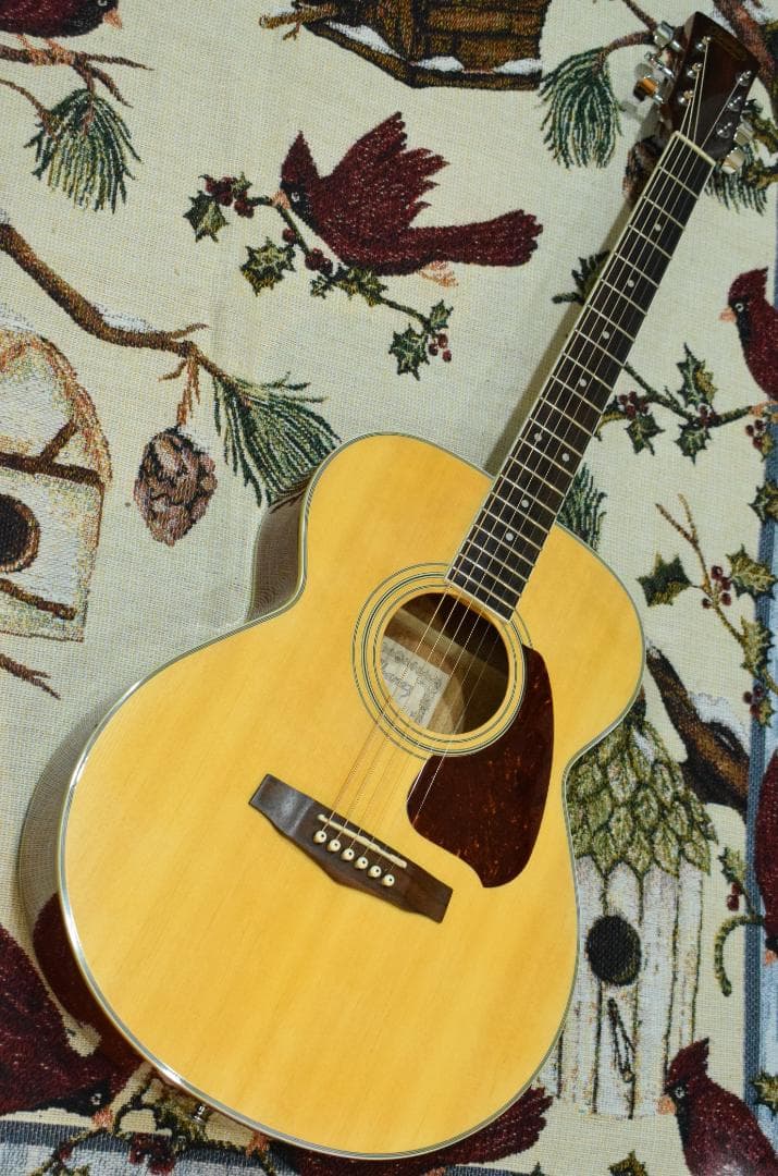 Ibanez PF200NT アコースティックギター ケース付