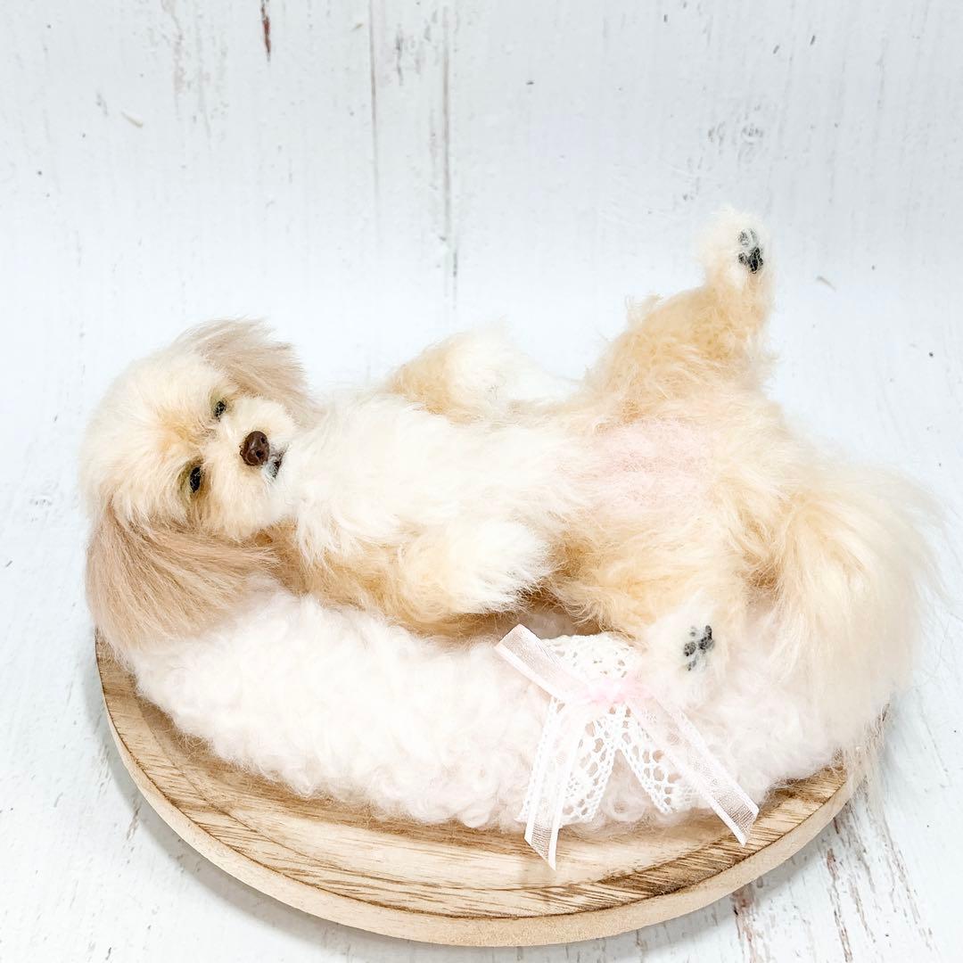 羊毛フェルト 犬 マルプー トイプードル ミックス犬