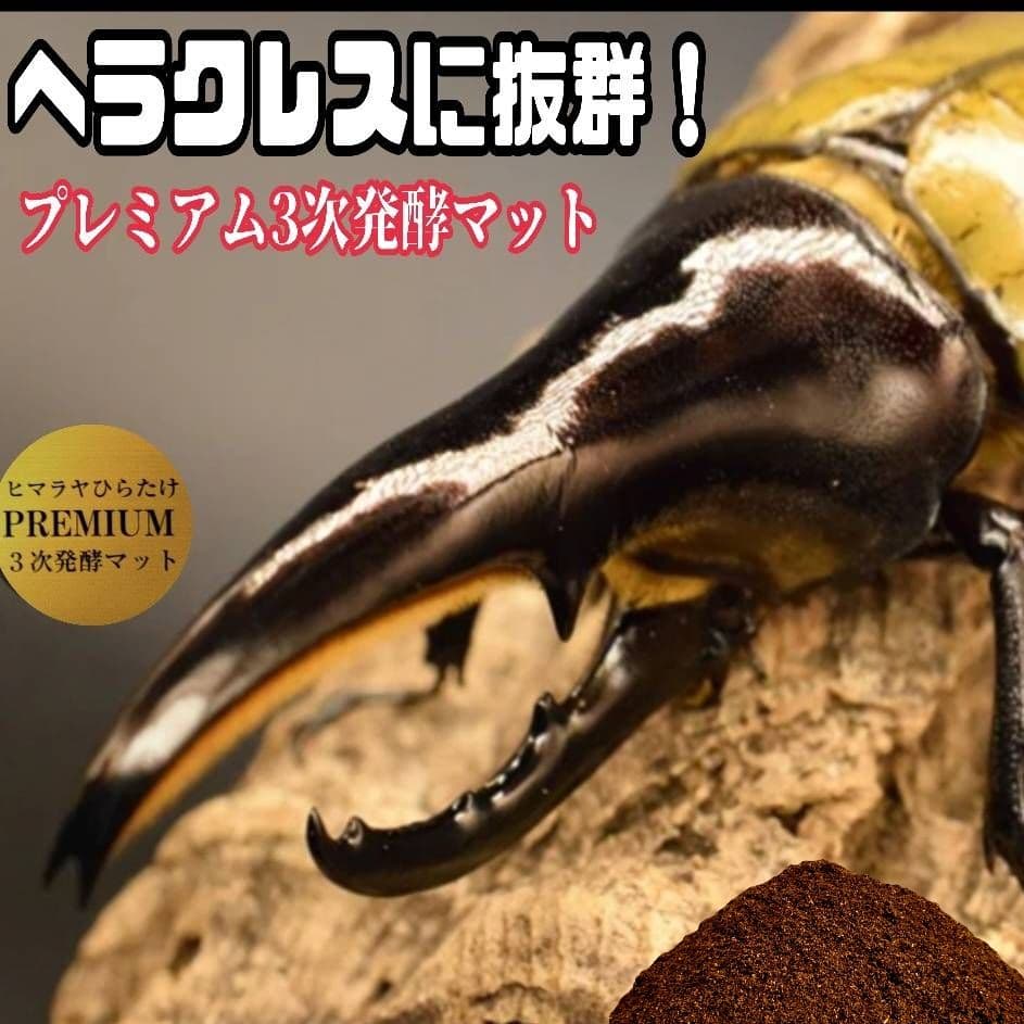 カブトムシ幼虫が巨大化！プレミアム3次発酵カブトムシマット【50L】産卵にも抜群