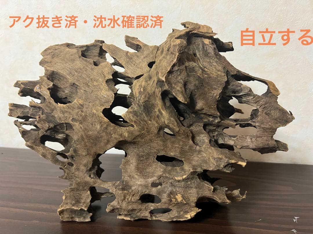 XM-368 ブランチウッド　流木　マシンガンウッド　アクアリウム　沈水確認済