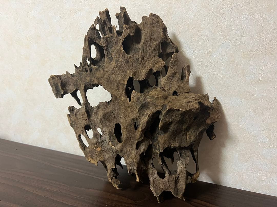 XM-368 ブランチウッド　流木　マシンガンウッド　アクアリウム　沈水確認済