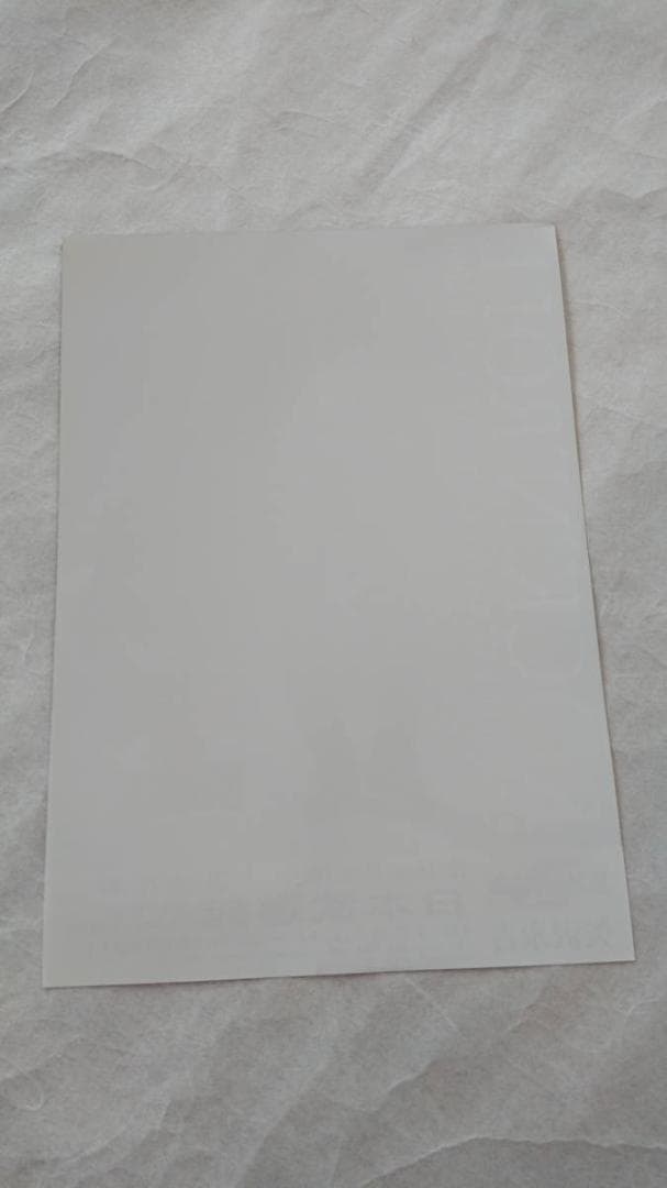 ★矢沢永吉・2009年・日本武道館・B5サイズチラシ