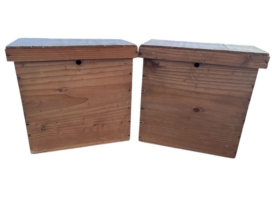 骨董 武家提灯 家紋 古い和紙提灯 大村 二号、大村三号 提灯2個