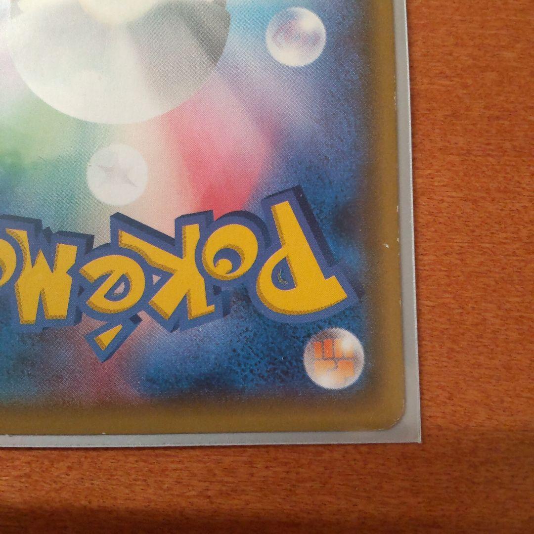 ポンチョを着たイーブイ（ブラッキー）