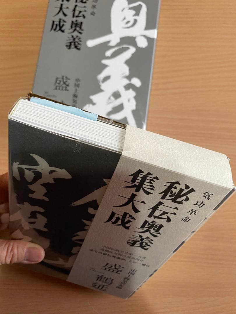 秘伝奥義集大成 盛鶴延著 気功(DVD付き)