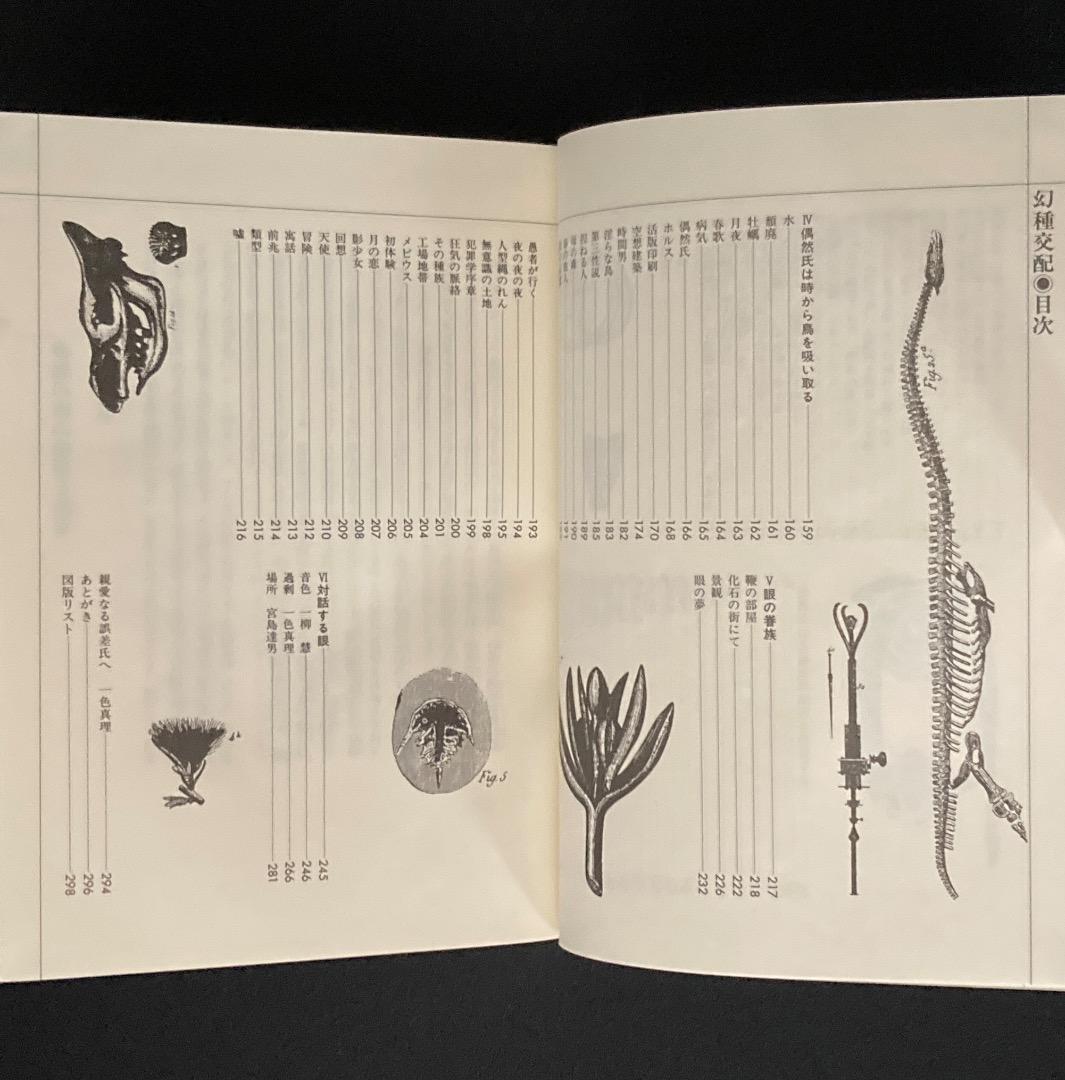 No.751《献呈サイン入》『幻種交配』荒木海踏 / 初版 / 沖積舎