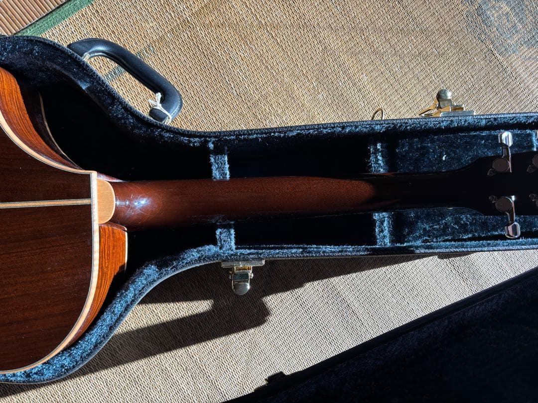 HISTORY NTC3 エレアコ　シングルカット　あいみょん