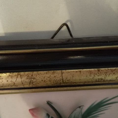 コレクション CAPODIMONTE