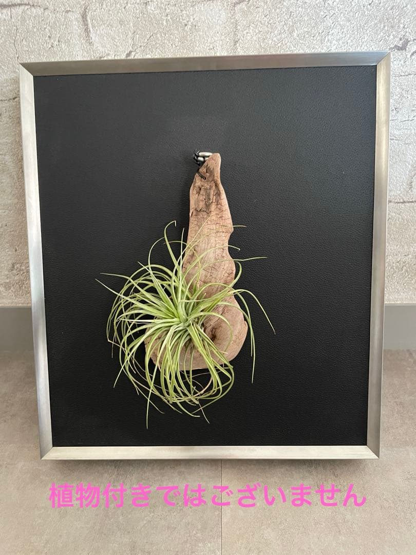 壁掛けアート　飾り額縁　鑑賞