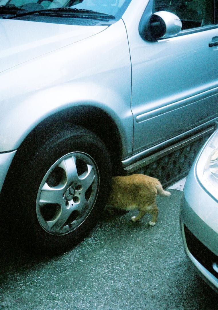 【分解整備済/完動品】Olympus Pen EE-2