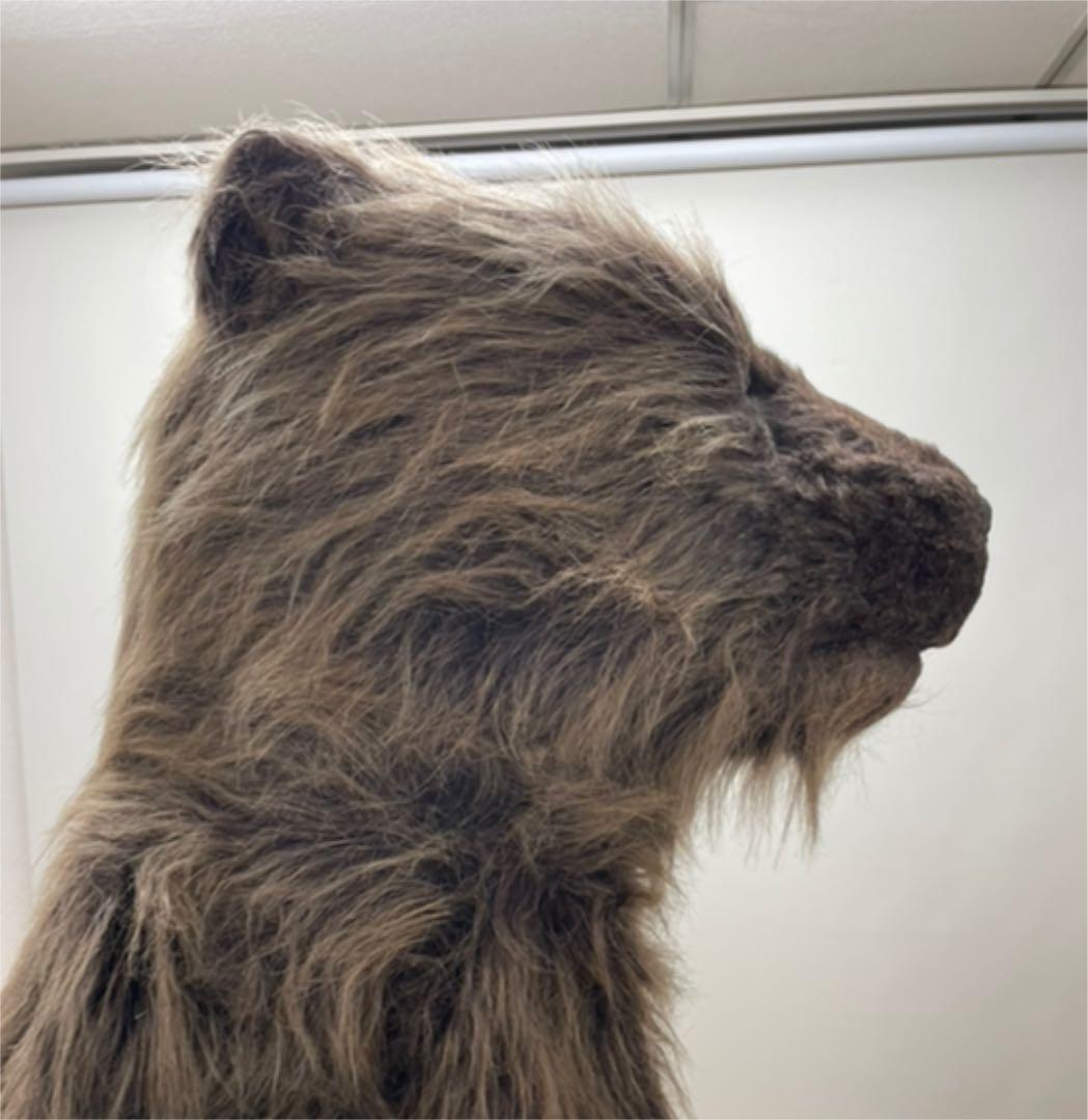 まるで本物！リアルなクマの着ぐるみマスク