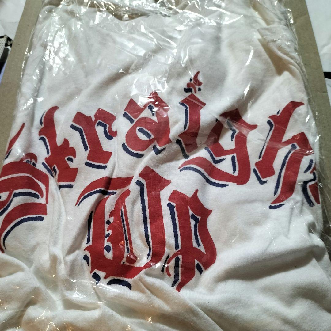 新品 straight up Tシャツ Dragon Ash The BONEZ