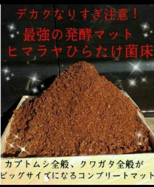 送料無料！60リットル　カブトムシ幼虫の餌！巨大化！ヒマラヤひらたけ発酵マット
