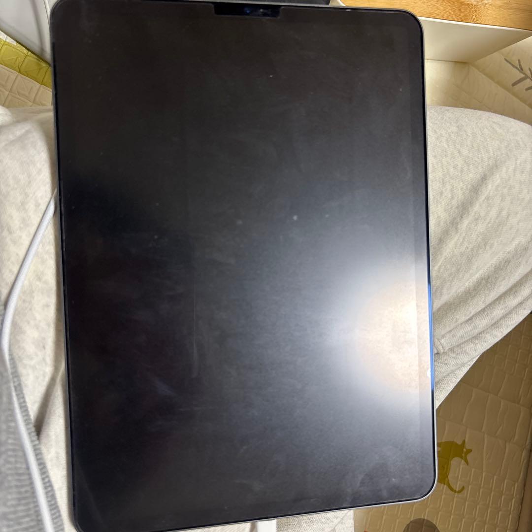 は*ず様 iPad Pro 11インチ 第3世代 512GB Wi-Fi 動作良