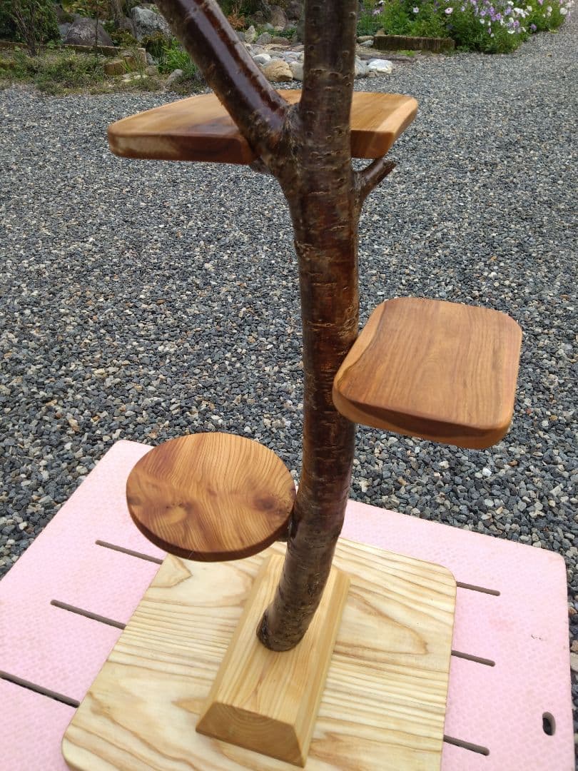 木製キャットタワー 据え置き型　桜❕