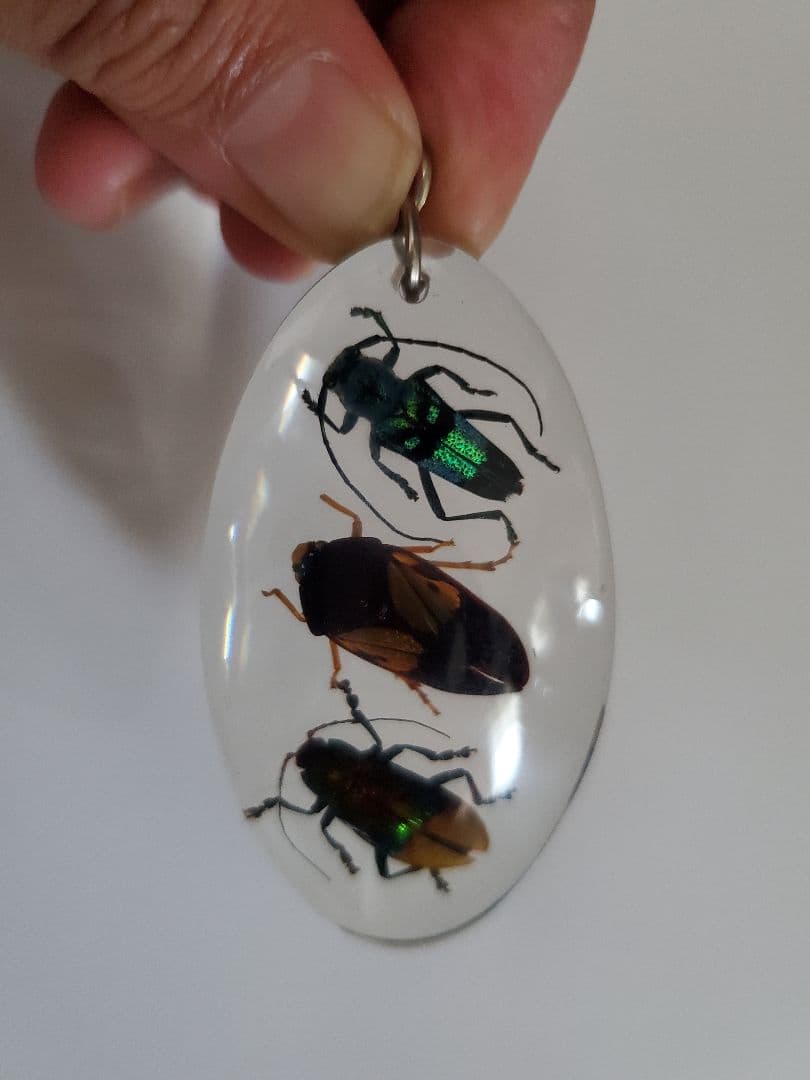 インドネシア産　カミキリムシ　キーホルダー　6点セット