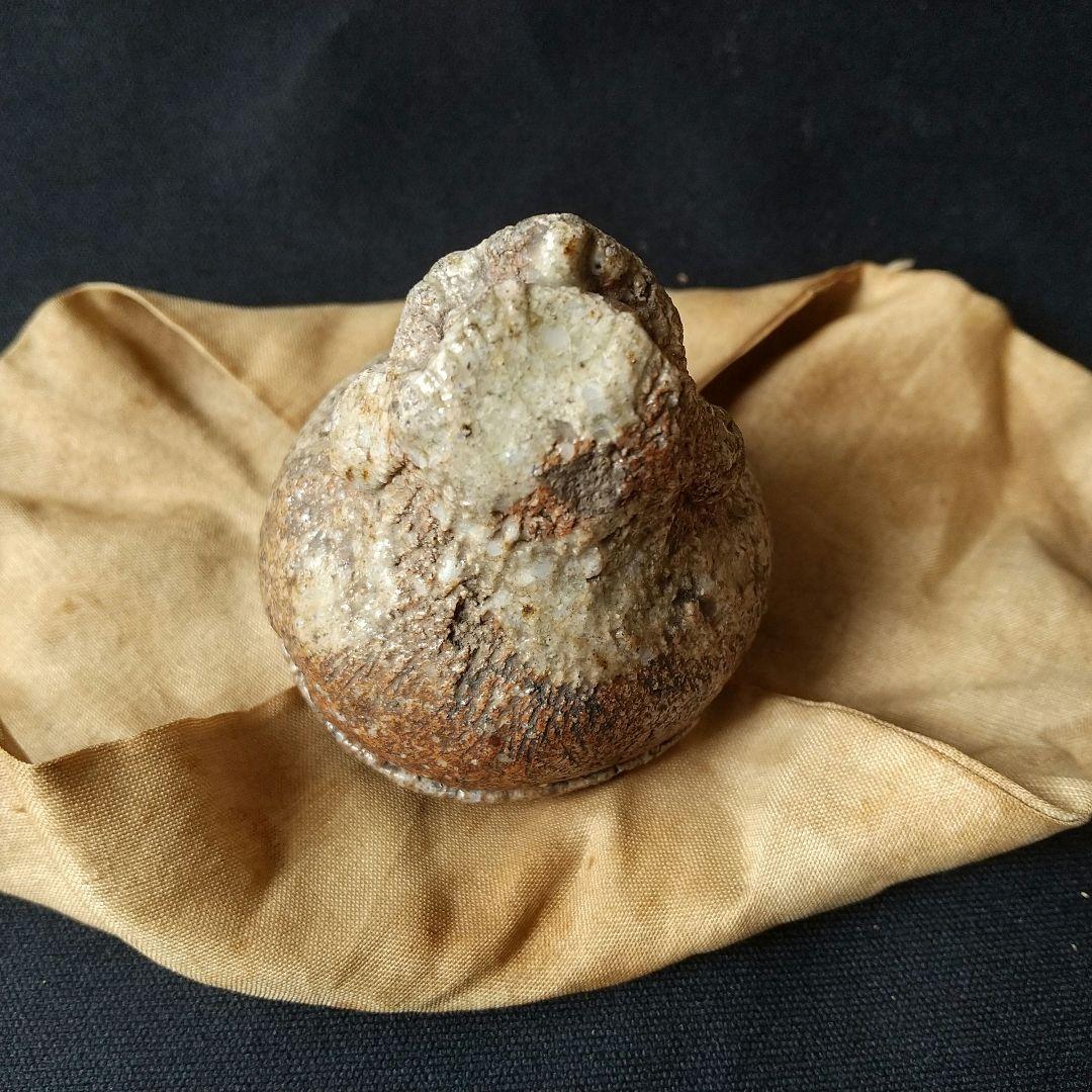 貴重  古信楽  獅子  香合  古箱   箱書あり  茶道具  骨董