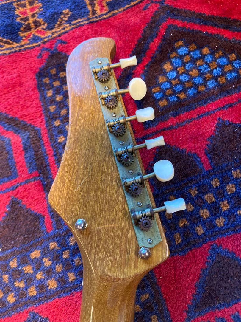 Regina 名東電気 Kawai ピックアップ ビザール