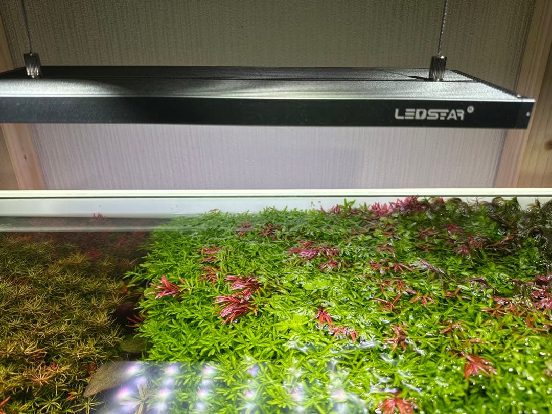 ［うんちゃん様］LED STAR AQ-Slim Pro 30 水槽ライ