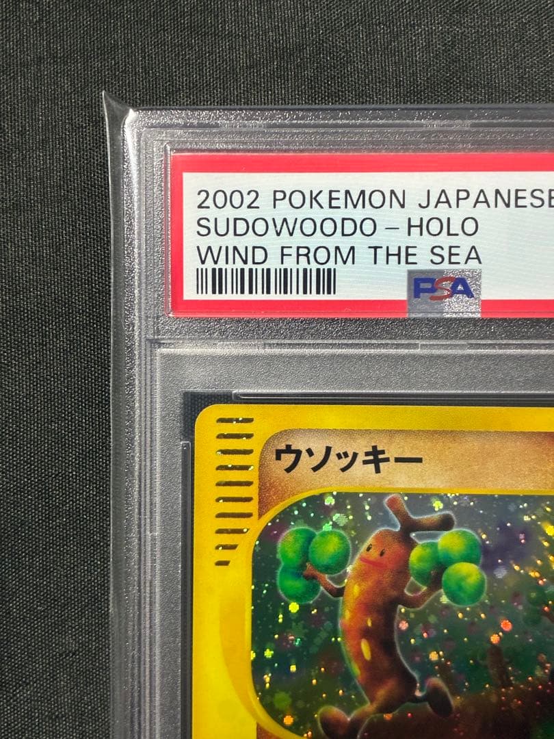 世界39枚 PSA10 ウソッキー カードe アンリミ 2002 058 18