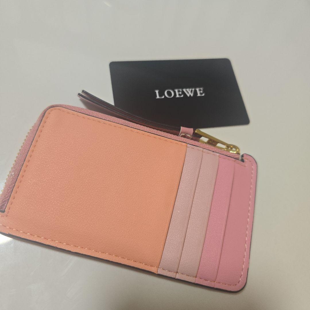 LOEWE ロエベ フラグメントケース
