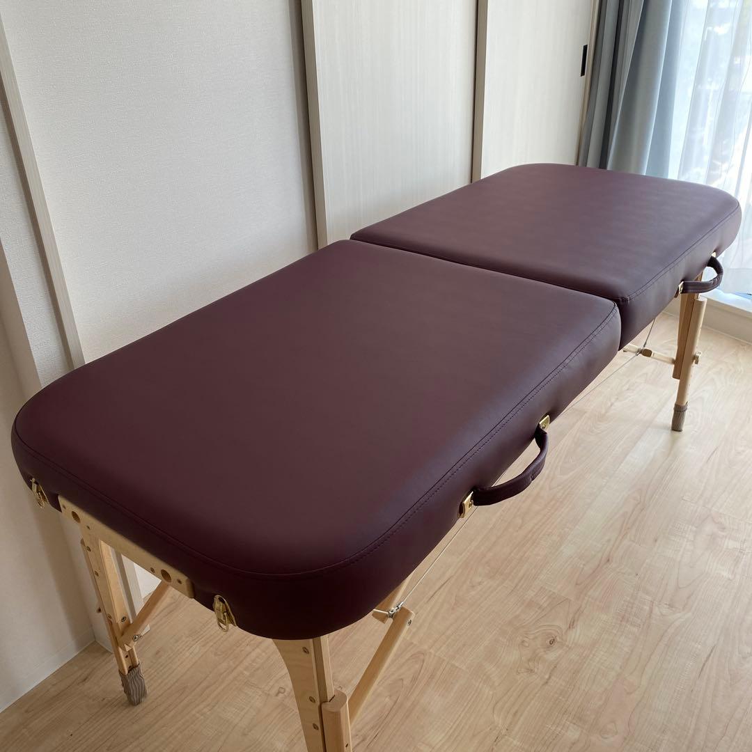 アースライト社Spirit 施術ベッド　（ヘッドレスト&キャリーケース付）