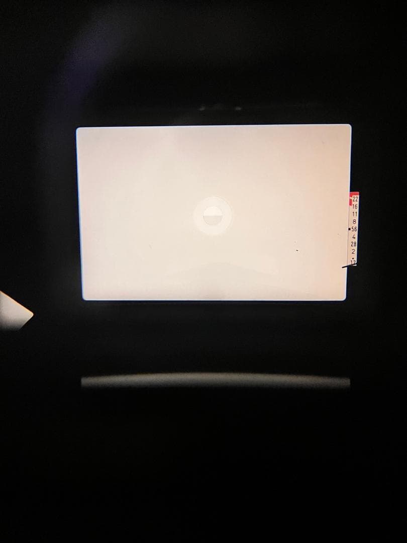 超美品 キャノン AE-1 シルバー フィルムカメラ モルト新品交換済 C713