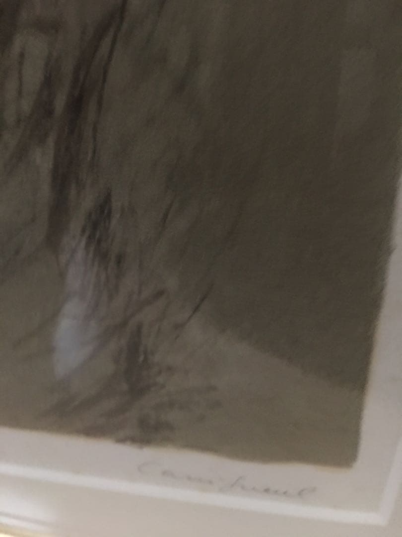 カシニョール　リトグラフ　まなざし　貴重作品