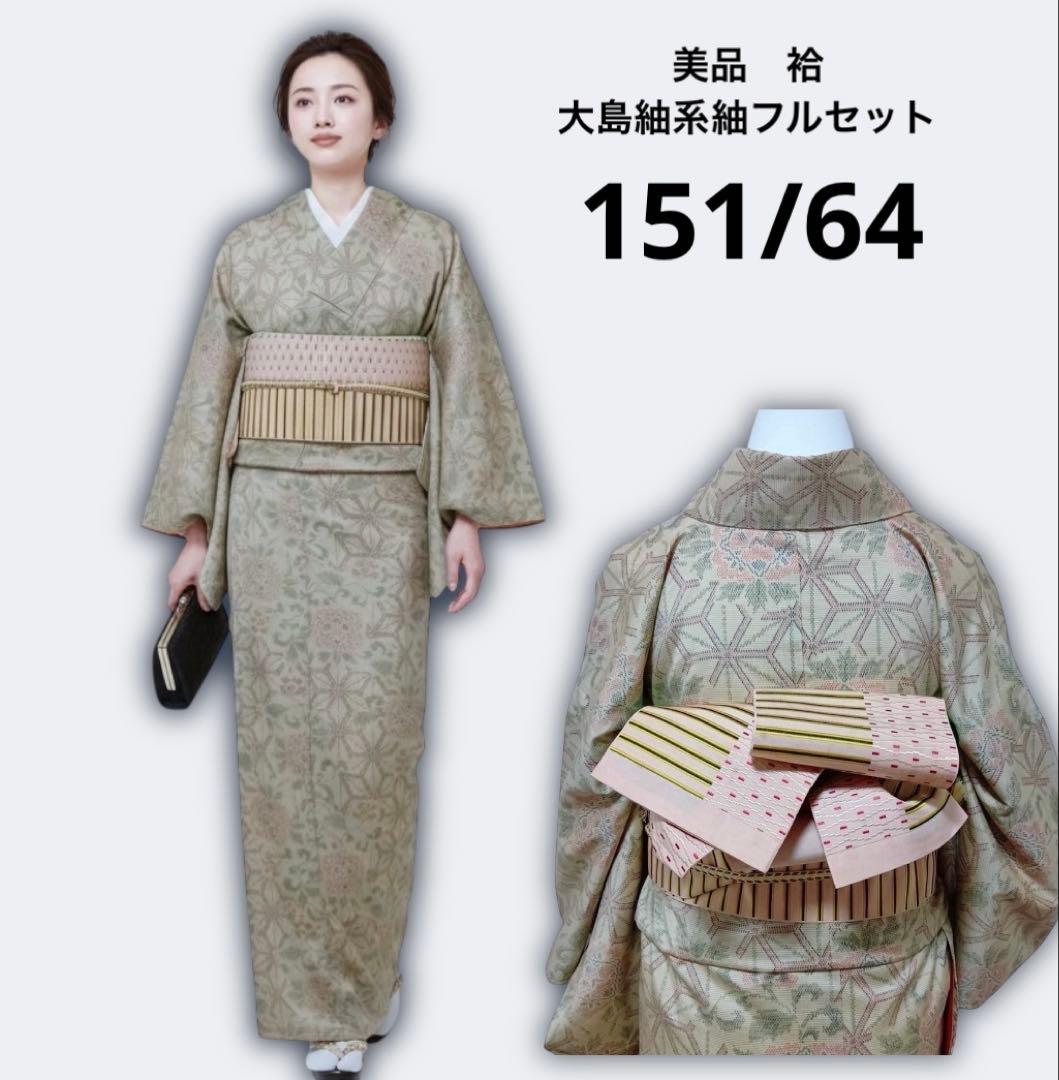 未使用近い　美品　袷　正絹　大島紬系　紬　白紬　小紋　フルセット