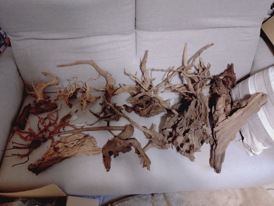 水槽用流木 自然な形状 約30cm〜50cm