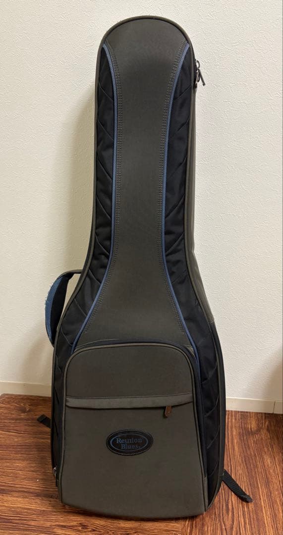 ギター History / NT-501