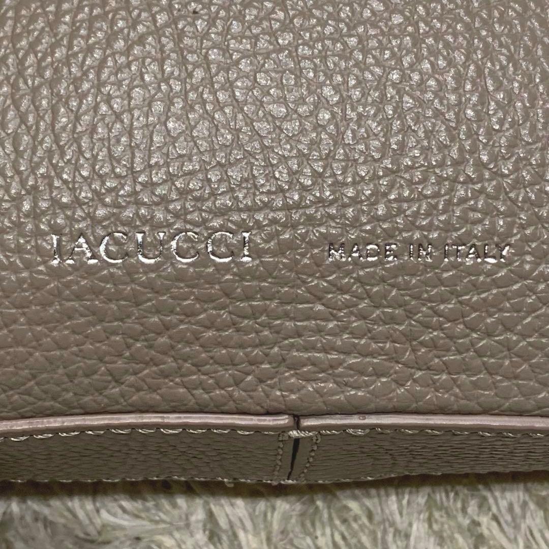 極美品✨IACUCCI ベルタS ショルダーバッグ