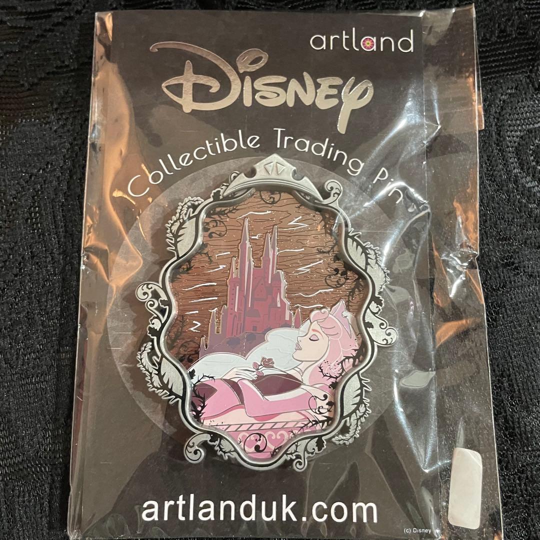 Disney artland オーロラ ピン