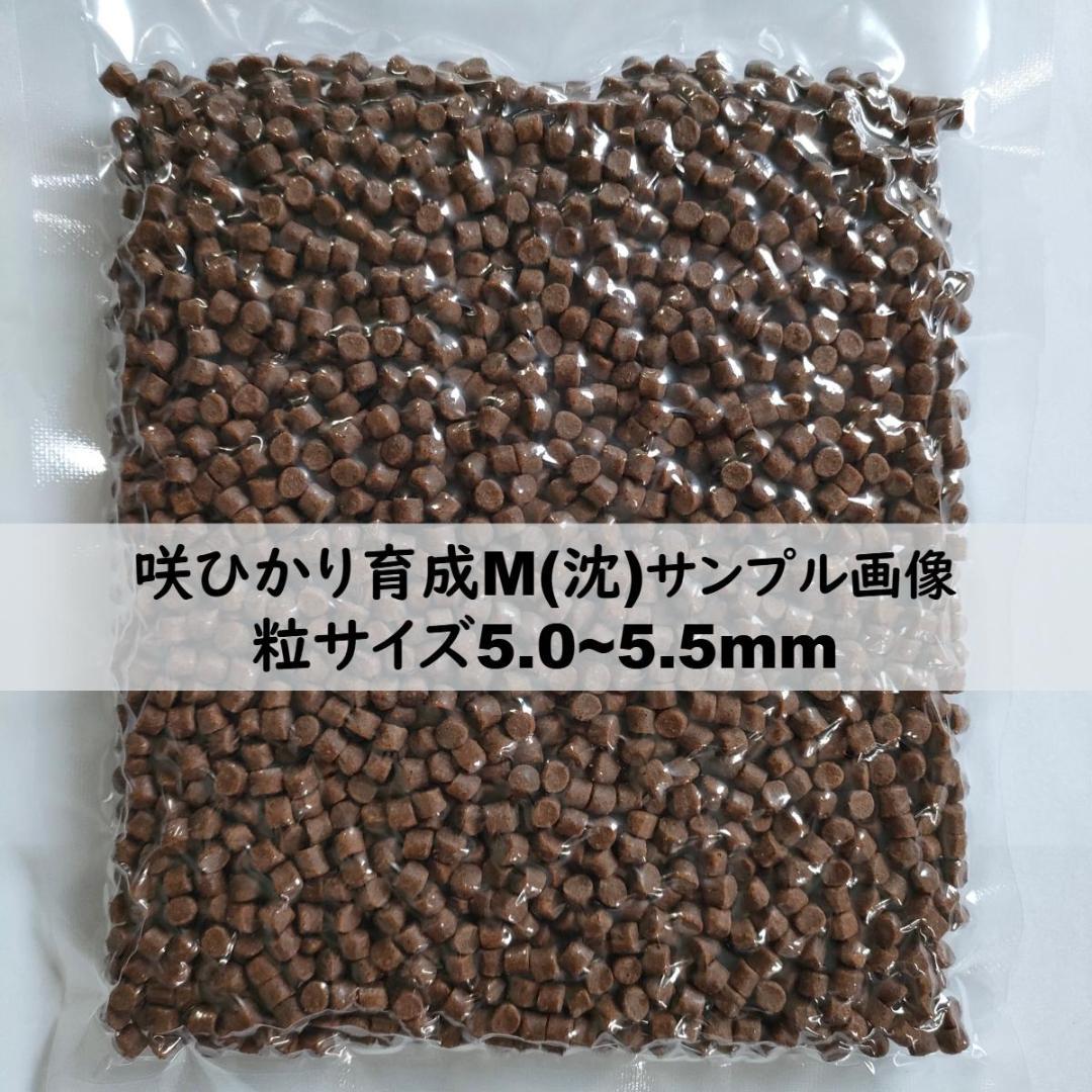 咲ひかり 育成 Mサイズ(沈下) 5kg (1kg×5P) 真空パック 錦鯉金魚