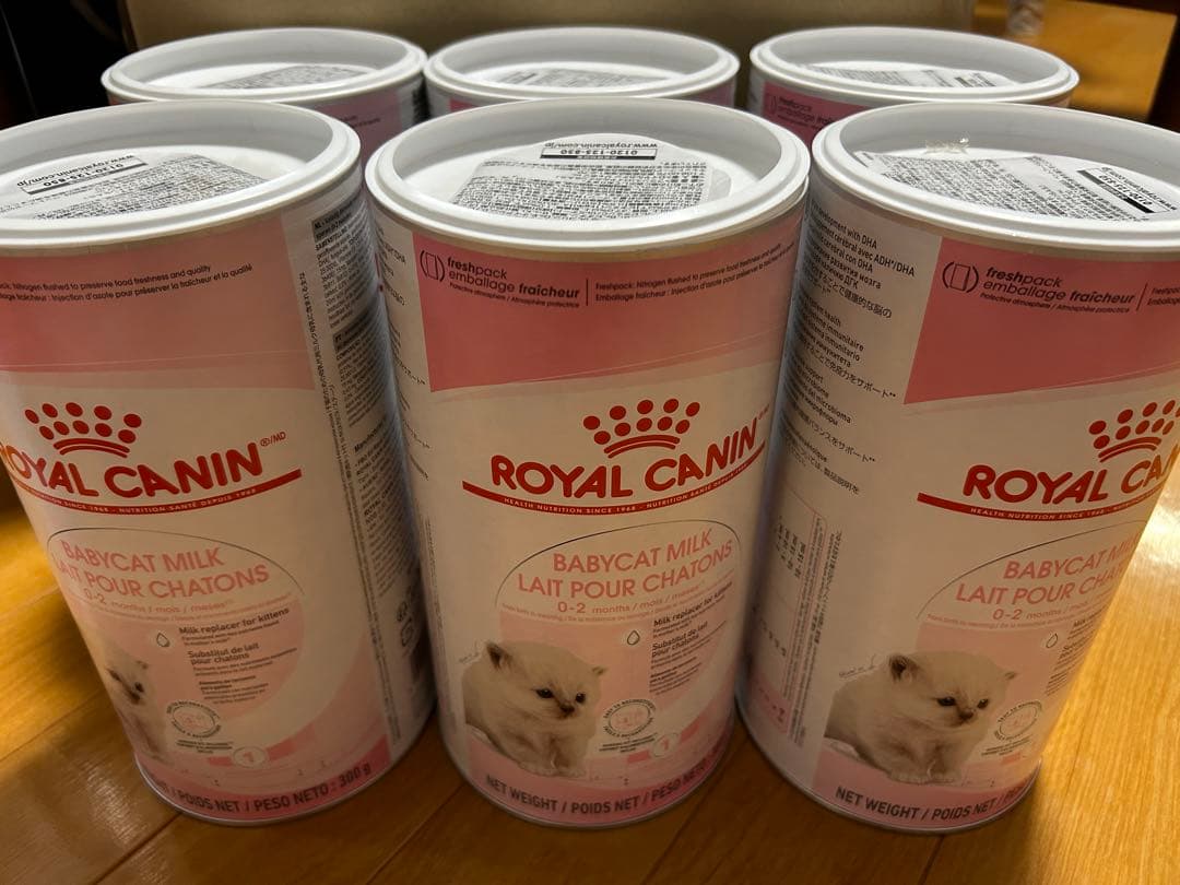 ロイヤルカナン子猫ミルク CANIN 300g 6缶 + 100g×3