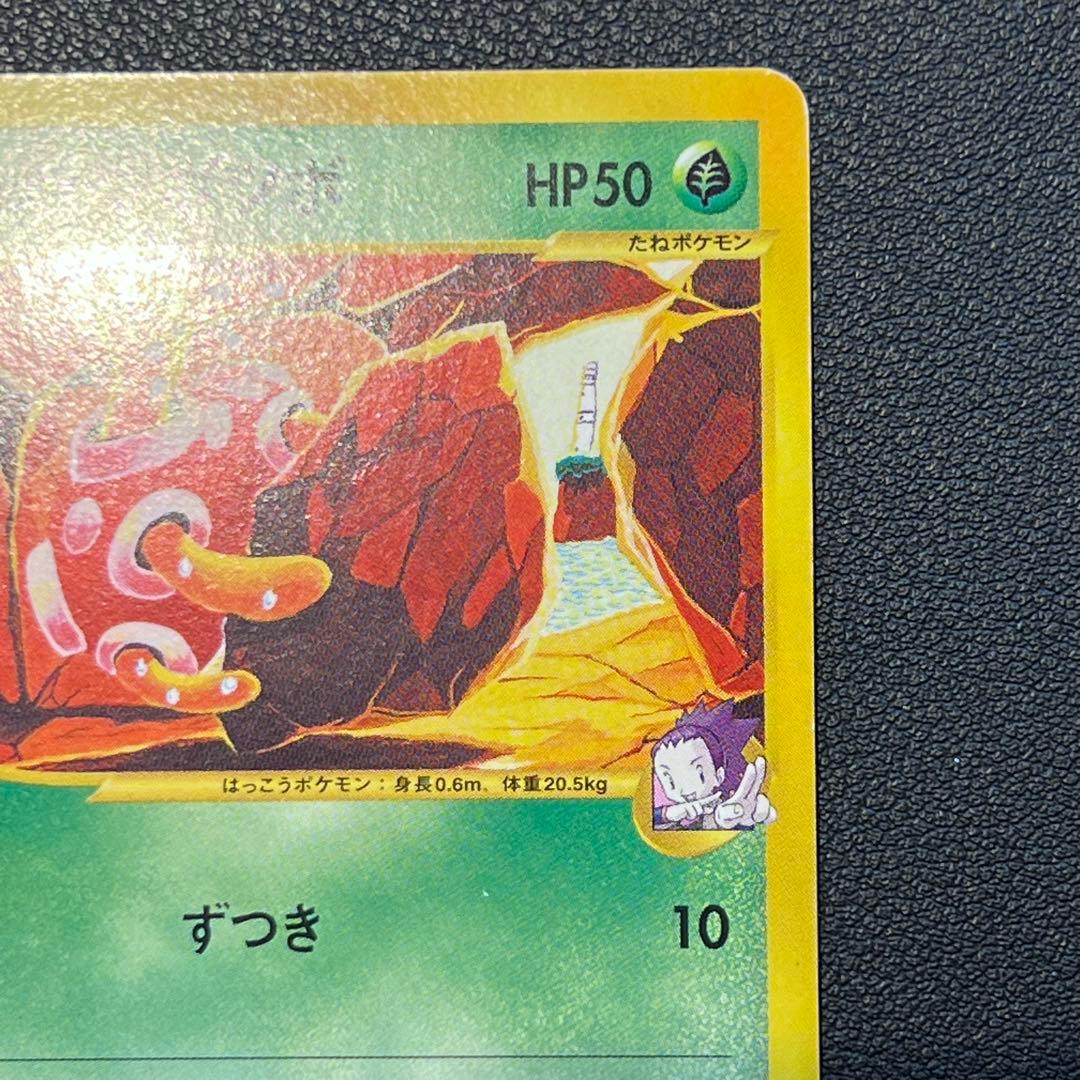 アンズのツボツボ ● ポケモンカード★VS 067/141 おまけ付